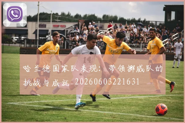 哈兰德国家队表现：带领挪威队的挑战与成就_20260603221631